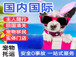嘎洒机场托运国际宠物托运 【国