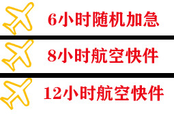 嘎洒机场托运快递公司,专业空运当天件